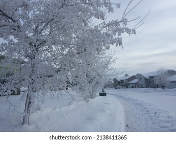 Winter In North Hemisphere. Pullman, Washington State, USA