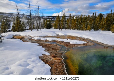 Winter At Old Faithful Area