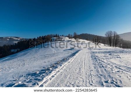 Winter on Cienkow above Wisla resort in Beskid Slaski mountains in Poland with snow covered road and meadows, trees, hills on the background and clear sky