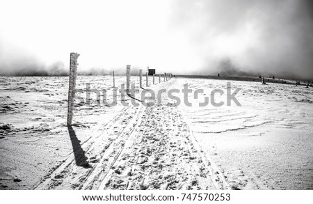 Similar – Image, Stock Photo My garden fence. Landscape