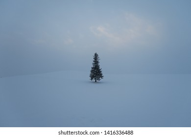 Winter Outdoor And Snow Scene In Hokkaido Japan