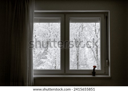 Winter outside the window, trees in the snow
