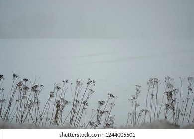Winter overcast landscape: dry grass is on foreground and foggy field on background. Winter despondency and boredom concept.