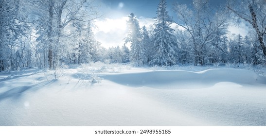 Winter panorama of forest with snow covered trees. - Powered by Shutterstock