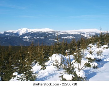 Winter Panorama Of Krkonose Mountains, Czech Republic