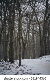 winter Park 