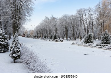 The Winter Park Was Covered With Snow. Trees, Bushes, Earth, Paths - All Covered With Snow-white Snow. Winter Background.