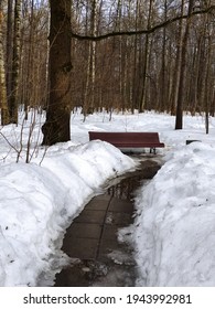 Winter Park Path To The Bench