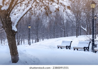 winter park road with bare trees, benches and lanterns. snowy day. - Powered by Shutterstock