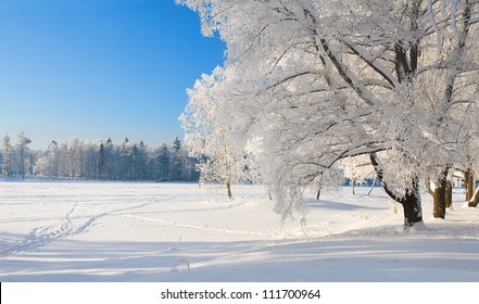 Winter park in snow - Powered by Shutterstock