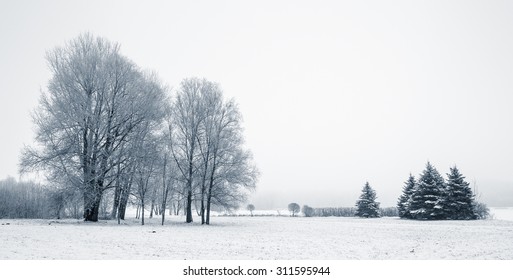 Winter Park In Snow