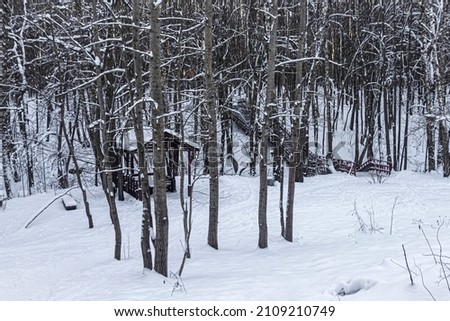 Winter park with snow-covered trees, a picnic gazebo and a staircase leading into the depths of the forest
