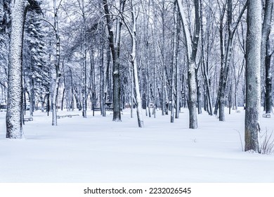 Winter park with trees, cameoes and pavement covered with snow after a snowfall in the afternoon. - Shutterstock ID 2232026545