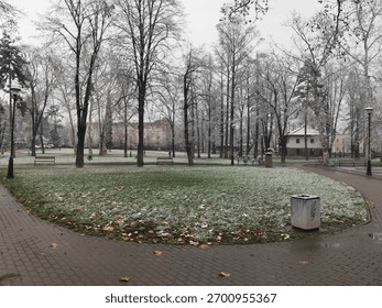 Winter park with trees and circular path covered by first snow