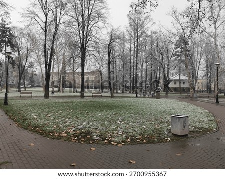 Winter park with trees and circular path covered by first snow