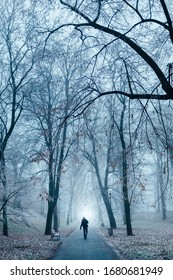 Winter park with trees and a path on which a man in winter clothes walks