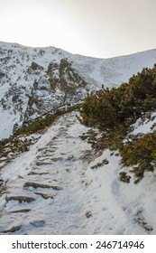 Winter Path 