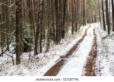 Winter path