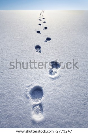 winter path