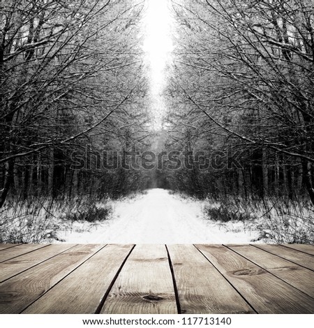 Winter path in the forest with wood plank floor background