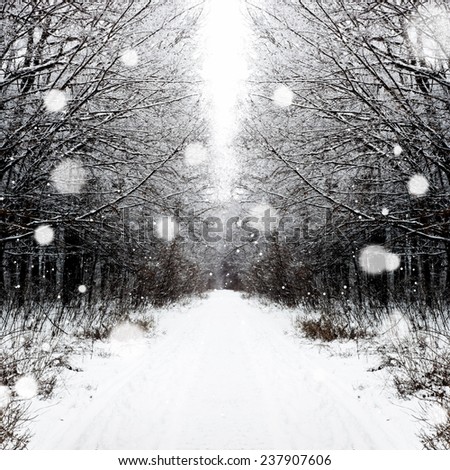 Similar – melancholy Winter Snow