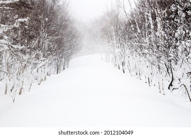 Winter Path In Japan Hokkaido