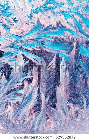 Winter patterns on the window