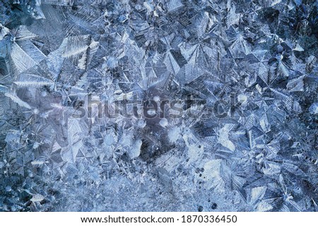 winter patterns window trees, abstract seasonal ice background
