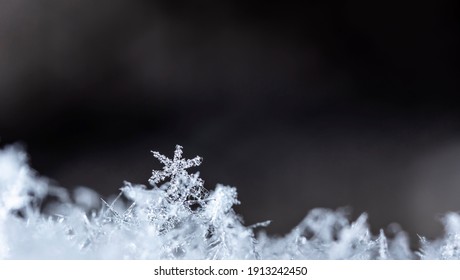 Winter Photo Of Snowflakes In The Snow