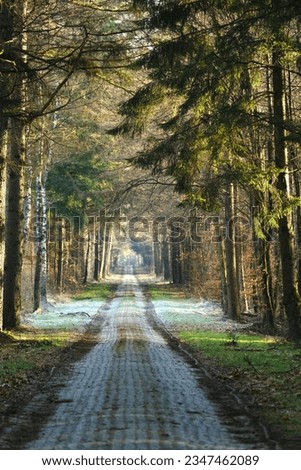 Winter photography of nature and landscapes in `Drenthe in the Netherlands