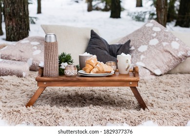 Winter Picnic In The Forest