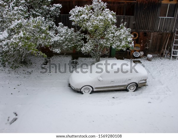 Winter picture with snow\
covered car. A snowy tree fell on the car. White snow covered the\
courtyard