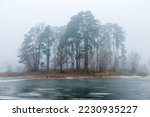 Winter pine forest in fog, frozen lake.