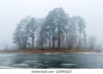 Winter pine forest in fog, frozen lake.