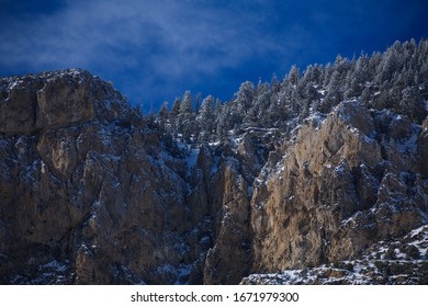 Winter Pine Forest In Mount Charleston, Nevada