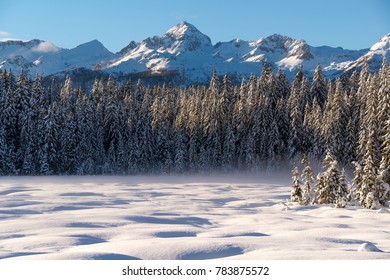 Winter At Pokljuka In Julian Alps