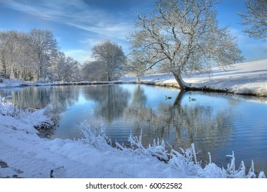 Winter Pond