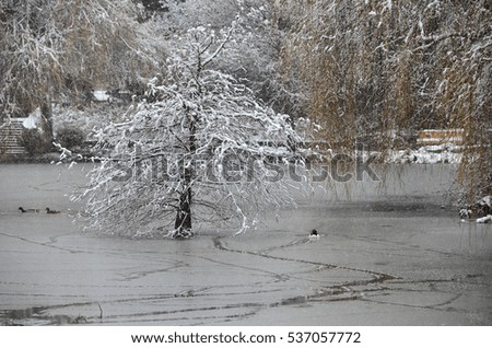 Similar – Image, Stock Photo quiet winter landscape