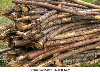 Winter preparation. Stacking Firewood. Pile of firewood loggs. Firewood background. Dry chopped firewood logs in a pile. - Shutterstock ID 2159153299