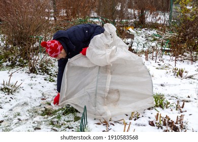 Winter Protection For Garden, Winter Shelter For Garden Plants, Shelter Rhododendrons