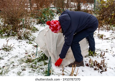 Winter Protection For Garden, Winter Shelter For Garden Plants, Shelter Rhododendrons