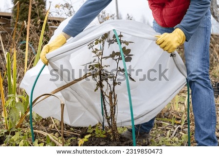 Winter Protection for garden, winter shelter for garden plants, shelter rhododendrons