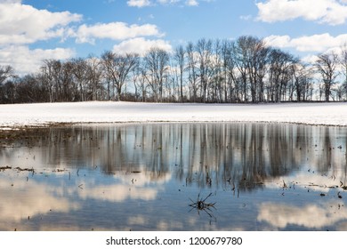 Winter Reflections 12