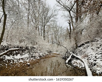 Winter reflections in the stream
