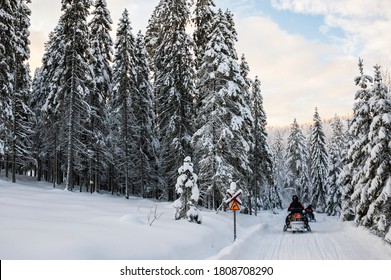 A winter ride on a snowmobiles in the forest, winter landscape and snowmobile track, Vuokatti, Finland