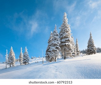 winter rime and snow covered fir trees on mountainside on blue sky background