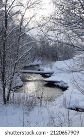 winter river in the forest