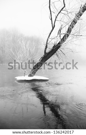 Similar – Image, Stock Photo At the lake Lake Ice