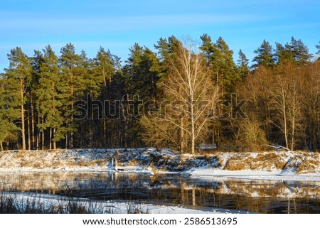 Image, Stock Photo bare tree reflected in blue lime lake, former limestone quarry
