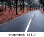winter road